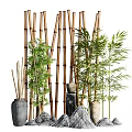 Serene Garden Decor With Bamboo Screen Green Plants Clay Pots And Stones