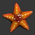 Starfish Shaped Orange Red Food With White Spots And Glossy Surface On Black Background