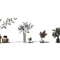 Elegant Flower Vases With Olive Branches Ferns And Greenery In Glass Ceramic