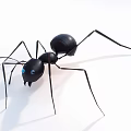 Black Ant Doll With Blue Eyes Long Legs And Stylish Design