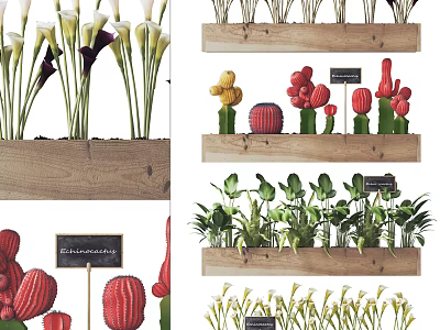 Potted Plants Including Calla Lilies Cacti And Greenery In Wooden Containers With Small Signs 3d model