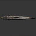 Whole Fresh Fish With Yellow Eye And Silver Gray Striped Body On Dark Background
