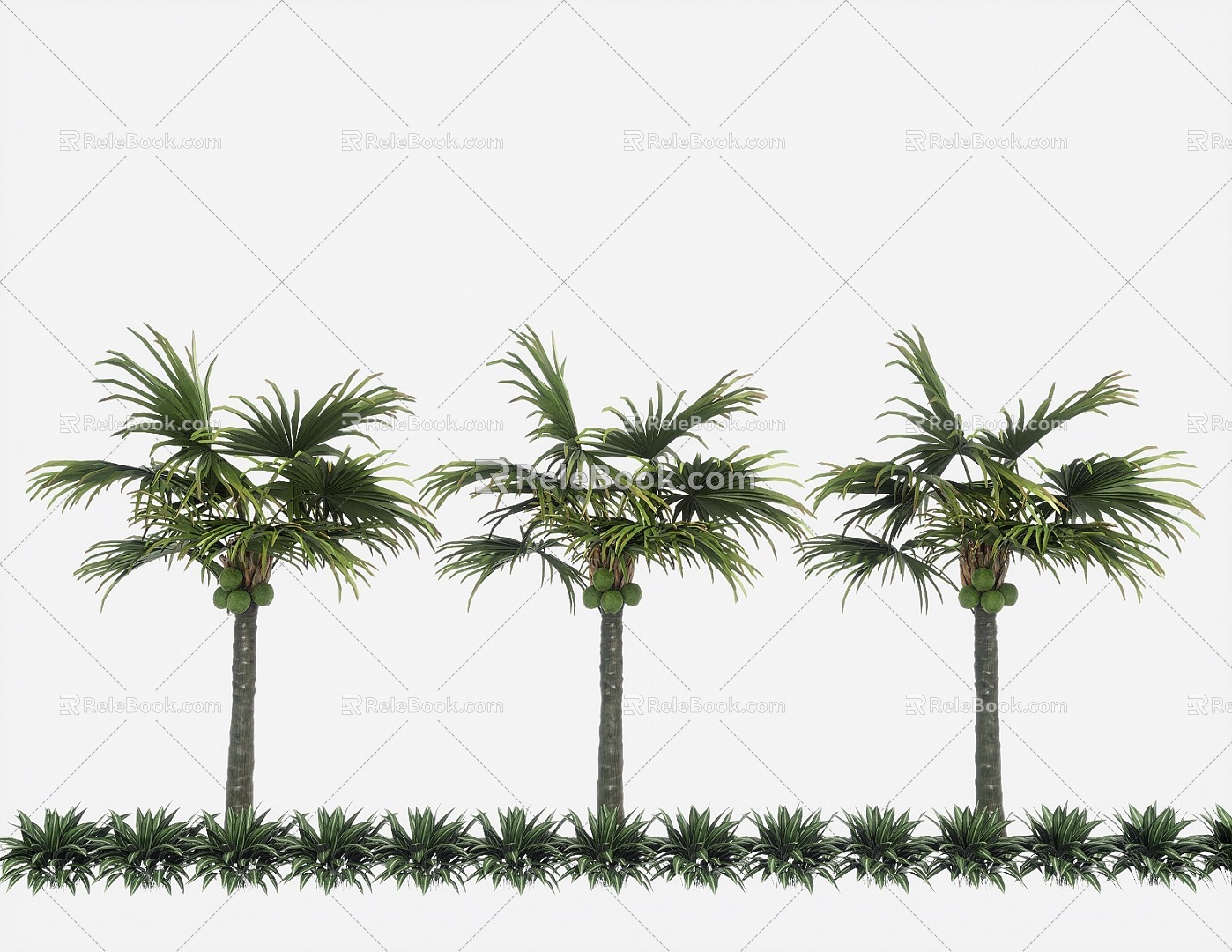 Palm Plant Tropical Plant Coconut Tree Palm Tree Scatter Sunflower 3d model