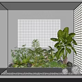 Glass Framed Indoor Landscape With Various Green Plants And Grid Pattern Wall Panel 3d model