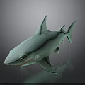Turquoise 3D Shark Model With Smooth Surface On Black Reflective Base