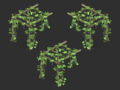 Garden Landscape Design Featuring Grape Vines Covered Pergolas in Outdoor Space 3d model