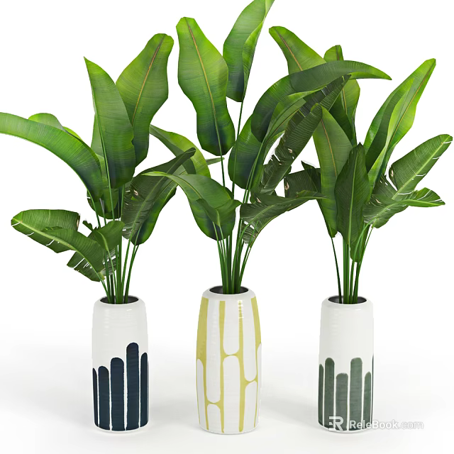 Large Leaf Potted Plants In White Pots With Colorful Geometric Patterns 3d model 