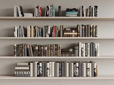 Neatly Organized Books And Magazines On Multiple Shelves With Various Sizes And Covers 3d model