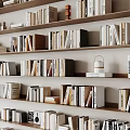 Organized Books And Magazines On Multi Layered Bookshelves With Various Sizes And Neat Rows