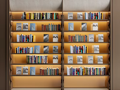 Modern Bookcase Interior With Layered Shelves Filled Books And Decorative Prints 3d model
