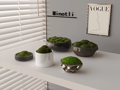 Decorative Moss Arranged in Various Bowls and Pots on White Shelf 3d model