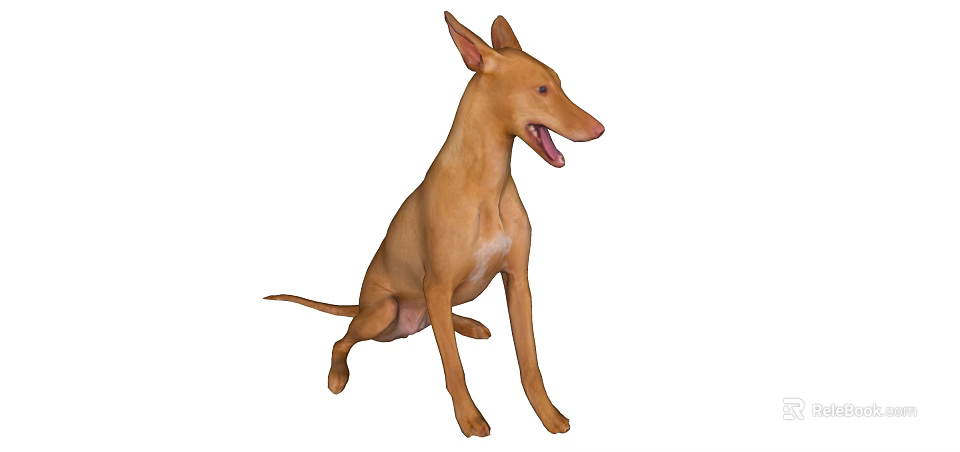 Brown Lizard Sitting With Ears Up And Mouth Open Isolated On White Background 3d model 