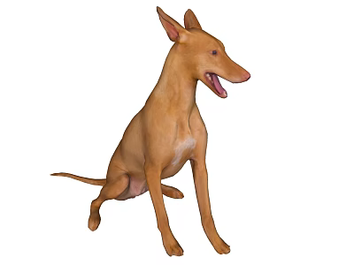 Brown Lizard Sitting With Ears Up And Mouth Open Isolated On White Background 3d model