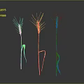 Fresh Golden Wheat Ears As Natural Food Ingredient On Dark Background
