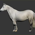 White Horse Statue In Standing Position With Realistic Coat And Hooves