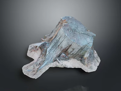Natural Wood Stone Material With Unique Texture And Raw Organic Form 3d model