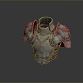 Armor Battle Armor Ancient Armor Ancient Armor Ancient Armor Ancient Armor Ancient War Helmet 3d model