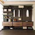 Modern Dark Wood Wardrobe Interior Design With Drawers Hanging Rods Storage Boxes And Shoes