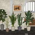 Indoor Potted Plants With Ficus Palm Cactus And Decorative Ceramic Pots