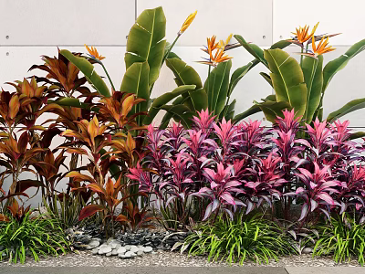 Vibrant Plant Combination with Large Green Leaves Purple Foliage Orange Flowers and Small Grasses 3d model