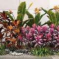 Vibrant Plant Combination with Large Green Leaves Purple Foliage Orange Flowers and Small Grasses