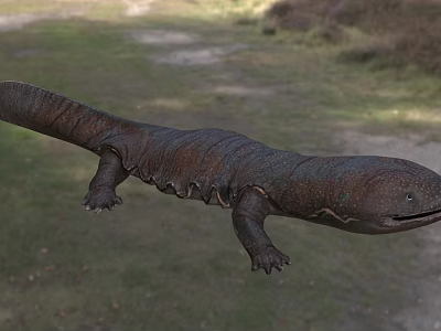 Reptile With Thick Skin In Natural Outdoor Environment 3d model