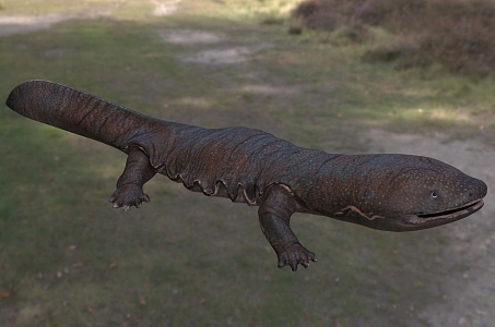 Giant salamander giant salamander giant salamander mermaid child fish foot fish crow fish wax dog animal 3d model