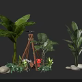 Decorative Floral Installation Featuring Green Plants Large Leaf Foliage Wooden Structure And Stones