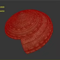 Shell Sculpture with Spiral Pattern Yellow Brown Detailed Texture Layered Design