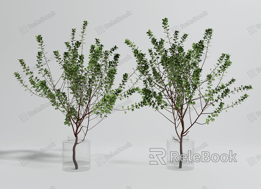 Modern potted plant potted landscape tree combination model