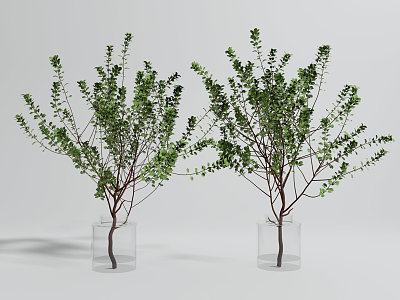 Modern potted plant potted landscape tree combination model