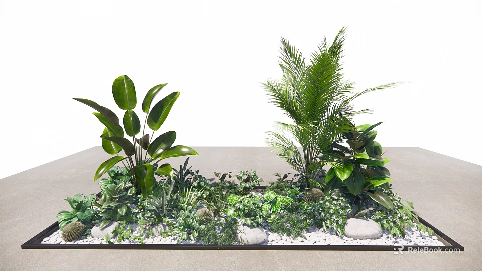 Various Green Plants Landscape With Large Leafy Palms Small Herbs And Decorative Stones 3d model 