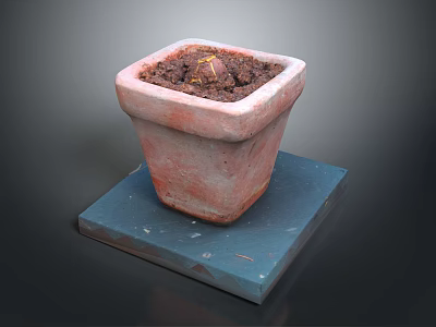 Square Terracotta Planter With Soil And Small Sprout On Blue Square Base 3d model