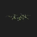 Delicate Green Vines With Small White Flowers On Black Background 3d model