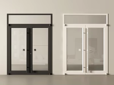 Modern Black and White Glass Double Doors With Sleek Design and Frame 3d model