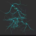 Brain Neural Network Structure With Interconnected Neurons And Synaptic Connections In Detail 3d model