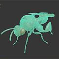Golden Ant Sculpture With Detailed Texture And Reflective Metallic Finish