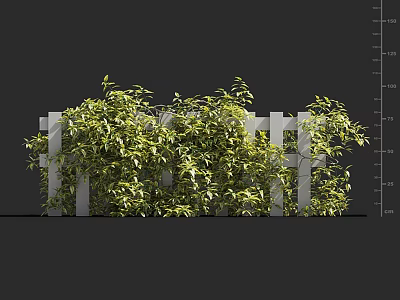 Green Leafy Shrubs Growing Around White Picket Fence In Garden View 3d model