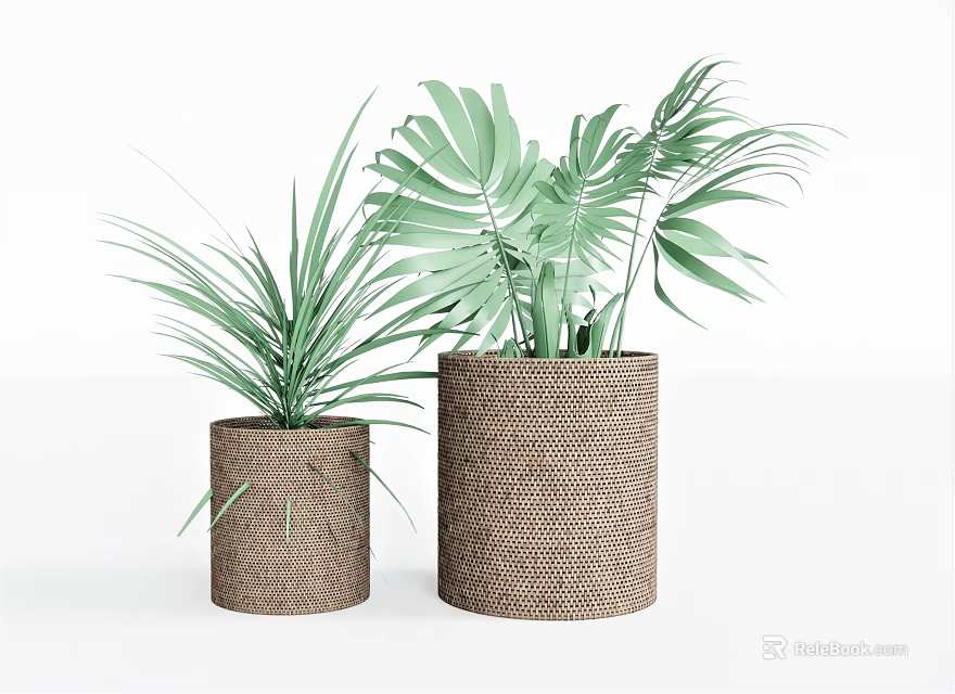 Two Decorative Potted Plants In Woven Brown Pots With Green Leaves 3d model 