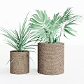Two Decorative Potted Plants In Woven Brown Pots With Green Leaves
