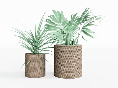 Two Decorative Potted Plants In Woven Brown Pots With Green Leaves 3d model