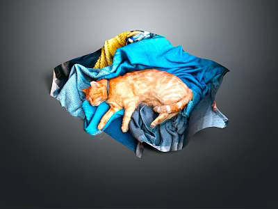 Colorful Fabric Covered Furniture Sofa With Orange Cat Resting Comfortably 3d model