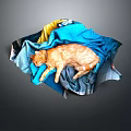 Colorful Fabric Covered Furniture Sofa With Orange Cat Resting Comfortably