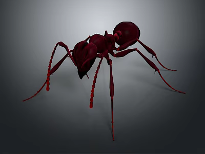 Realistic Red Ant 3D Rendered Close Up with Detailed Body on Dark Background 3d model