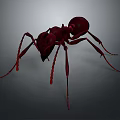 Realistic Red Ant 3D Rendered Close Up with Detailed Body on Dark Background