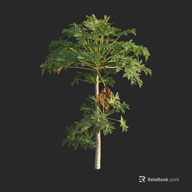 Lush Green Tree With Dense Foliage And Straight Trunk Structure 3d model 