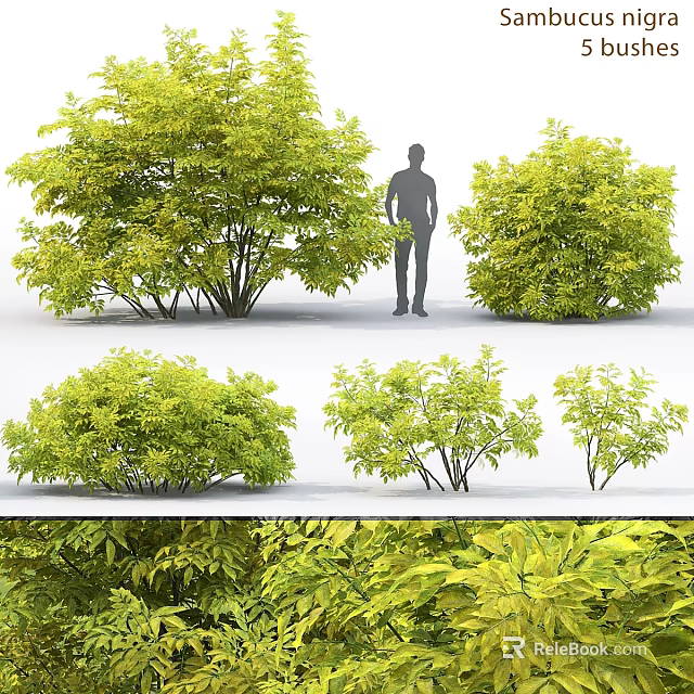 Various Sizes Green Leafy Plant Decorative Ornament Set For Home Decoration 3d model 