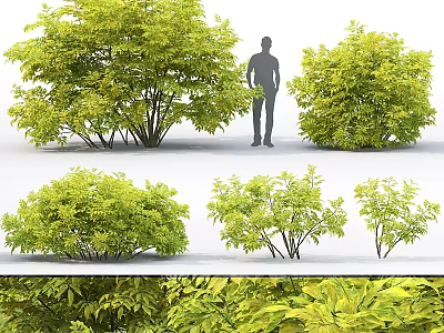 Various Sizes Green Leafy Plant Decorative Ornament Set For Home Decoration 3d model