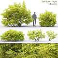 Various Sizes Green Leafy Plant Decorative Ornament Set For Home Decoration