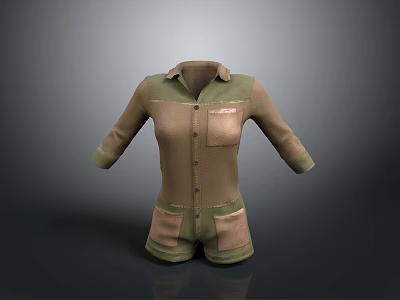 Durable Cotton Casual Workwear Jumpsuit in Green Brown with Patch Pockets and Button Front 3d model